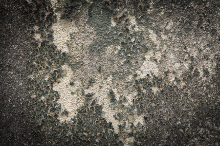 Texture of old concrete grunge wall covered with lichen moss mold as a backgroundの写真素材