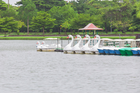 Duck boats in Garden public parkの写真素材