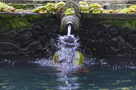 Woman In Holy Spring Water of Tirta Empul Hindu Temple , Bali Indonesiaの写真素材
