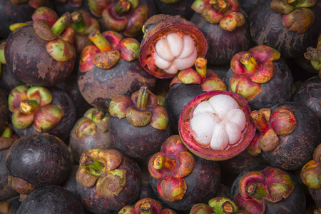 tropical mangosteen fruitsの写真素材