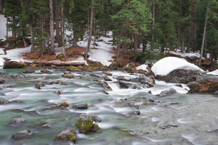 Little waterfall and needle ice in the foresの写真素材