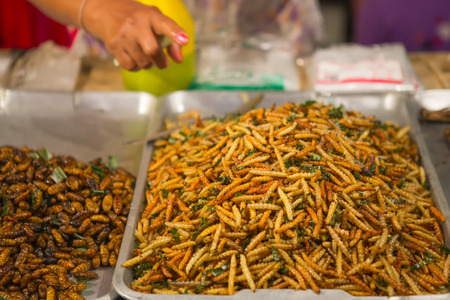A shop sell silkworm pupa fried,delicious food in Thailandの写真素材