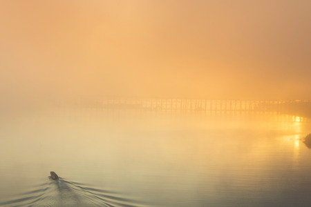 Beautiful sunset on the river. Fisherman is in the boatの写真素材