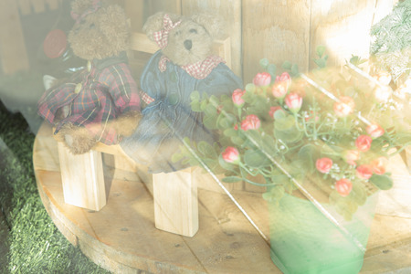 Two teddy bear decoration in garden with sunlight , out side view grass filter style