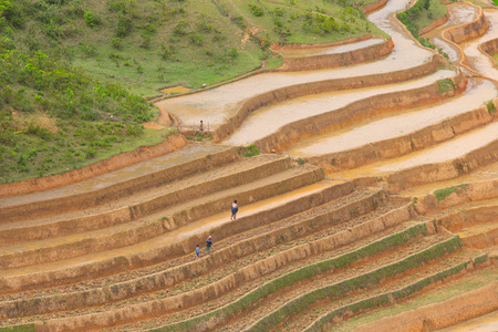 Terraced rice field in water season in Mu Cang Chai, Yen Bai province, Vietnamの写真素材