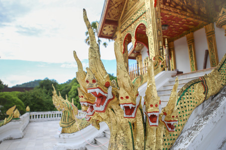 The animal in legend of Buddhism . Protection in front of Luang Prabang Temple , Laosの写真素材
