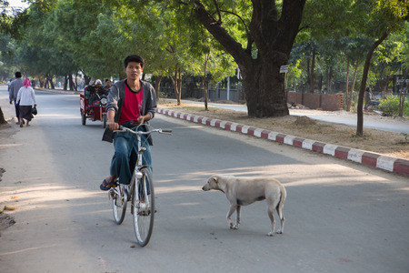 BAGAN-MYANMAR ,December 14,2015 ; Burmese ride bicycle  at main road of  Bagan. The bicycle is  famous vehicle from people . December 14, 2015 in Bagan, Myanmar(Burma)のeditorial素材