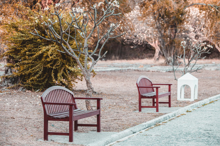 Chair relaxtion on gardenの写真素材