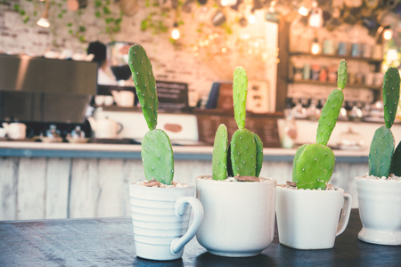 Green cactus in the white pot place on wooden table in of cafeの写真素材