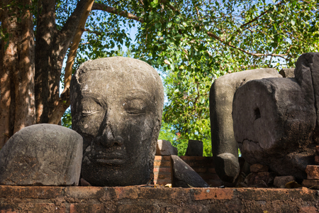 Head of ancient buddha statue in Ayutthaya, Thailandの写真素材