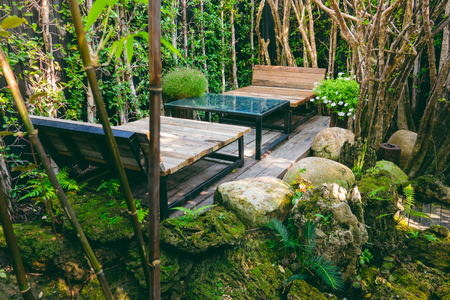 Two wood benches in gardenの写真素材