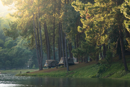 Beautiful sunlight and reflection of pine tree forest in lake , pang ung resorvour , Mae Hong Son , Northern of Thailandの写真素材