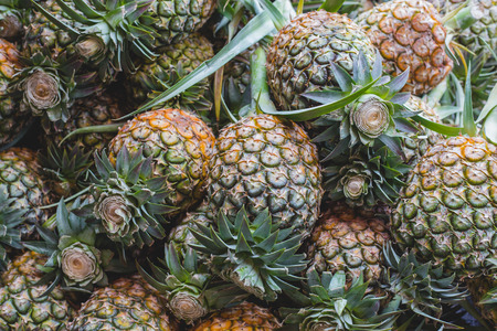 Fresh pineapples on market in Thailandの写真素材