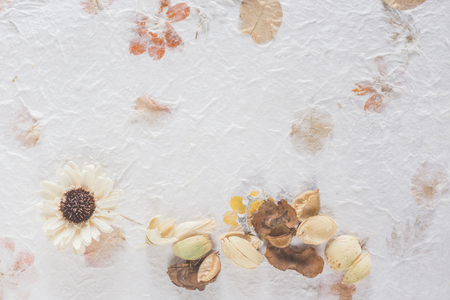 Dried flowers background on white background. Flat lay, top view. Floral patternの写真素材