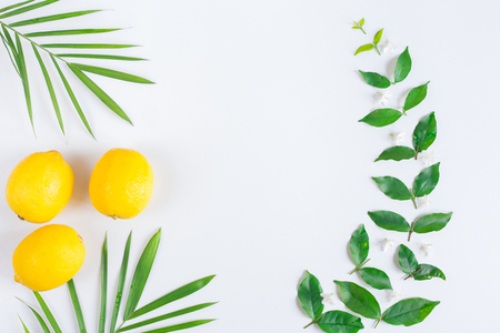Lemons with green leaf on white bacggroud ,Flat lay imageの写真素材