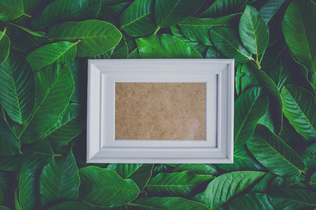 Creative frame made of leaves with frame picture . Flat lay  Nature conceptの写真素材
