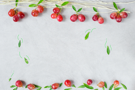 Red grape on a branch tree branch with grape and leaf fallen on ground  , flat lay image idea concept with copy space for your textの写真素材