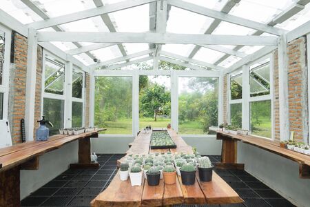 Glass house to grow cactus to keep temperature warmの写真素材