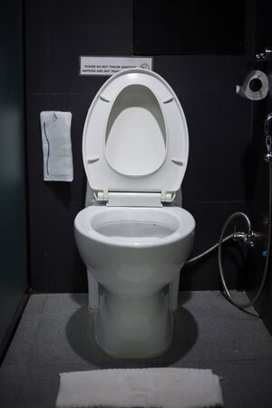 Toilet seat decoration in bathroom interior