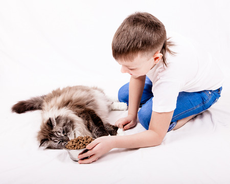 The boy feeds a catの写真素材