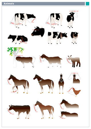 Various animals のイラスト素材