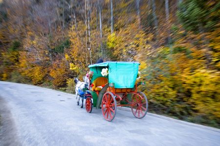 Wagon in "Abant" park in Turkey at autumnの写真素材