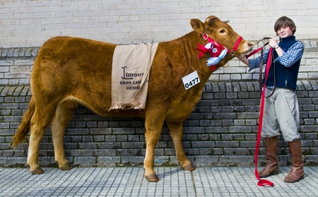 MONTEVIDEO , URUGUAY  - SEP 12 2009 :  participant in the annul exhibition のeditorial素材