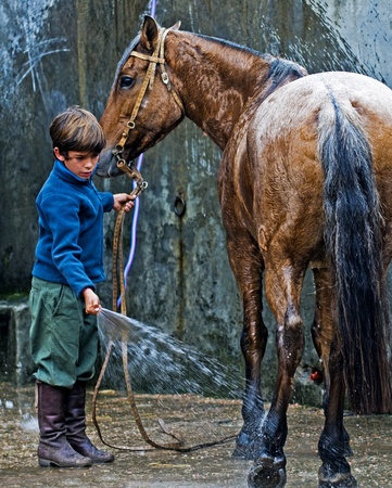 MONTEVIDEO , URUGUAY  - APRIL 11 2009 :  participant child wash his horse  in  Gauchos show のeditorial素材