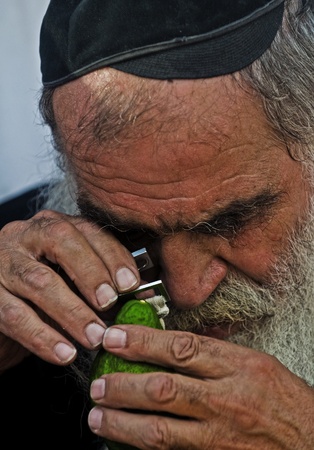 JERUSALEM - OCTOBER 10 2011 : An ultra-orthodox Jewish man inspects an Etrog