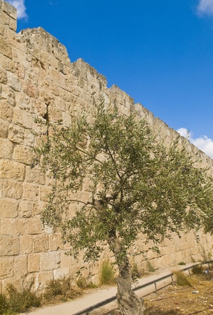 The wall of old Jerusalem in Israel の写真素材