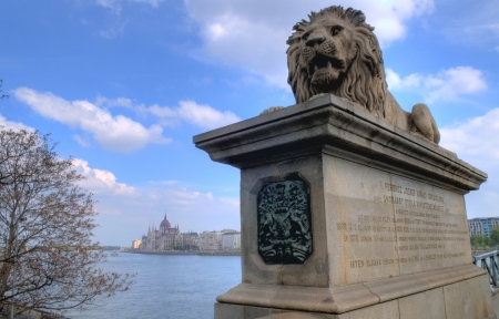 A lion statue of the chain bridge and the Hungarian parlamentの写真素材