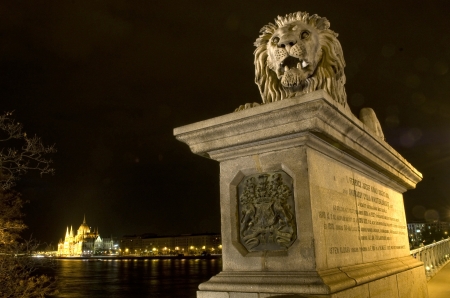 A lion statue of the chain bridge and the Hungarian parlament at nightの素材 [FY31013884519]