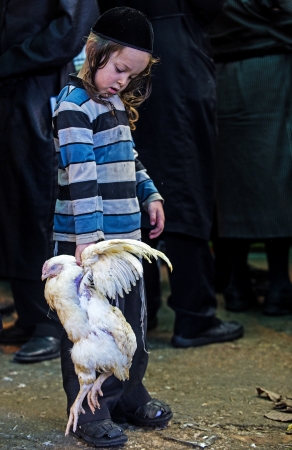 JERUSALEM - SEP 25 : An ultra Orthodox Jewish child holds chicken during the Kaparot ceremony held in Jerusalem Israel in September 25 2012 のeditorial素材