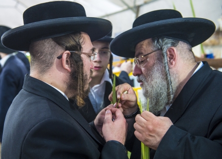JERUSALEM - SEP 28 : Orthodox Jewish men inspects a Lulav in the Four spesies market in Jerusalem Israel on September 28 2012 , Lulav is one of the Four spesies used during the celebration of Sukotのeditorial素材
