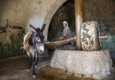 NAZARETH, ISRAEL - OCT 15 : Millstone & donkey used for pressing olives to make olive oil in October 15 2012 at Nazareth Village, a historical re-creation of Nazareth as it was at the time of Christのeditorial素材
