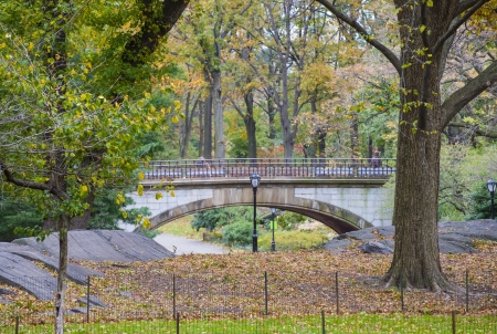 The Central park in New York at autumnのeditorial素材