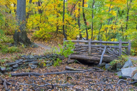 The Central park in New York at autumnのeditorial素材