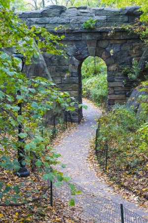 The Central park in New York at autumnの写真素材