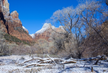 The Zion national park in Utah on winterの写真素材
