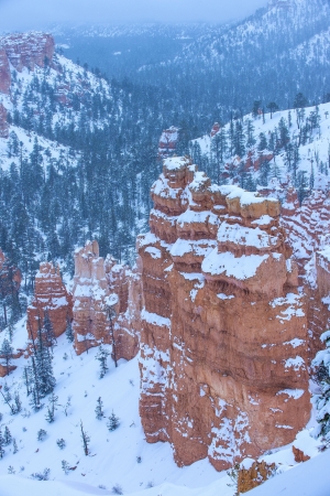 Bryce Canyon National Park, Utah in snowの写真素材