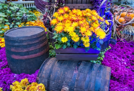 LAS VEGAS - NOV 17: Fall season in Bellagio Hotel Conservatory & Botanical Gardens on November 17, 2012 in Las Vegas. There are five seasonal themes that the Conservatory undergoes each year.のeditorial素材