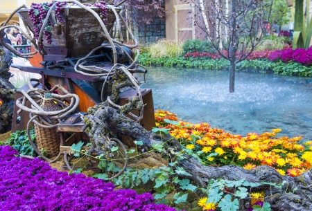 LAS VEGAS - NOV 17: Fall season in Bellagio Hotel Conservatory & Botanical Gardens on November 17, 2012 in Las Vegas. There are five seasonal themes that the Conservatory undergoes each year.のeditorial素材