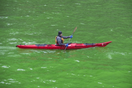 CHICAGO - MARCH 16: The Chicago River is dyed green for St. Patrick's Day in Chicago on March 16, 2013のeditorial素材
