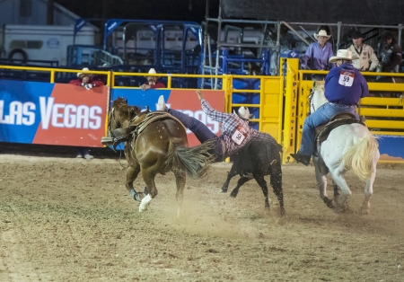 LAS VEGAS - MAY 17 : Cowboys Participant in a Steer wrestling Competition at the Helldorado Days Professional Rodeo in Las Vegas , USA on May 17 2013 のeditorial素材