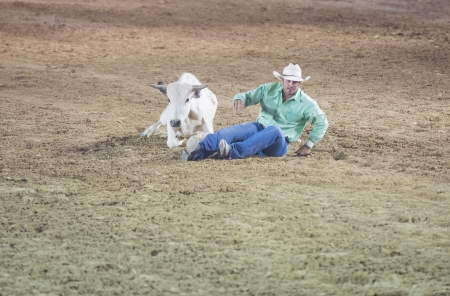 LAS VEGAS - MAY 17 : Cowboys Participant in a Steer wrestling Competition at the Helldorado Days Professional Rodeo in Las Vegas , USA on May 17 2013 のeditorial素材