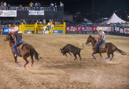 LAS VEGAS - MAY 17 : Cowboys Participant in a Calf roping Competition at the Helldorado Days Professional Rodeo in Las Vegas , USA on May 17 2013 のeditorial素材