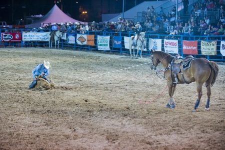 LAS VEGAS - MAY 17 : Cowboy Participant in a Calf roping Competition at the Helldorado Days Professional Rodeo in Las Vegas , USA on May 17 2013 のeditorial素材