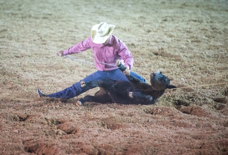 LAS VEGAS - MAY 17 : Cowboy Participant in a Calf roping Competition at the Helldorado Days Professional Rodeo in Las Vegas , USA on May 17 2013 のeditorial素材