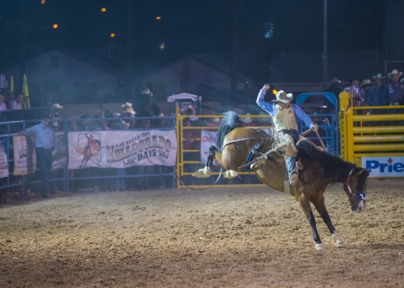 LAS VEGAS - MAY 17 : Cowboy Participant in a Bucking horse Competition at the Helldorado Days Professional Rodeo in Las Vegas , USA on May 17 2013 のeditorial素材