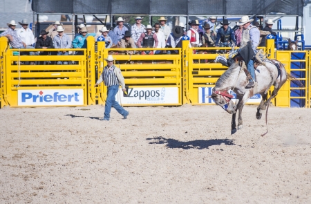 LAS VEGAS - MAY 17 : Cowboy Participant in a Bucking horse Competition at the Helldorado Days Professional Rodeo in Las Vegas , USA on May 17 2013 のeditorial素材